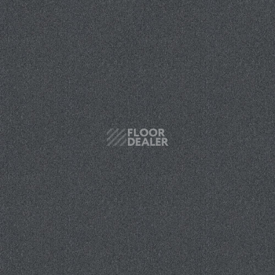 Ковровая плитка Tessera basis pro 4354 Dark Grey фото 1 | FLOORDEALER